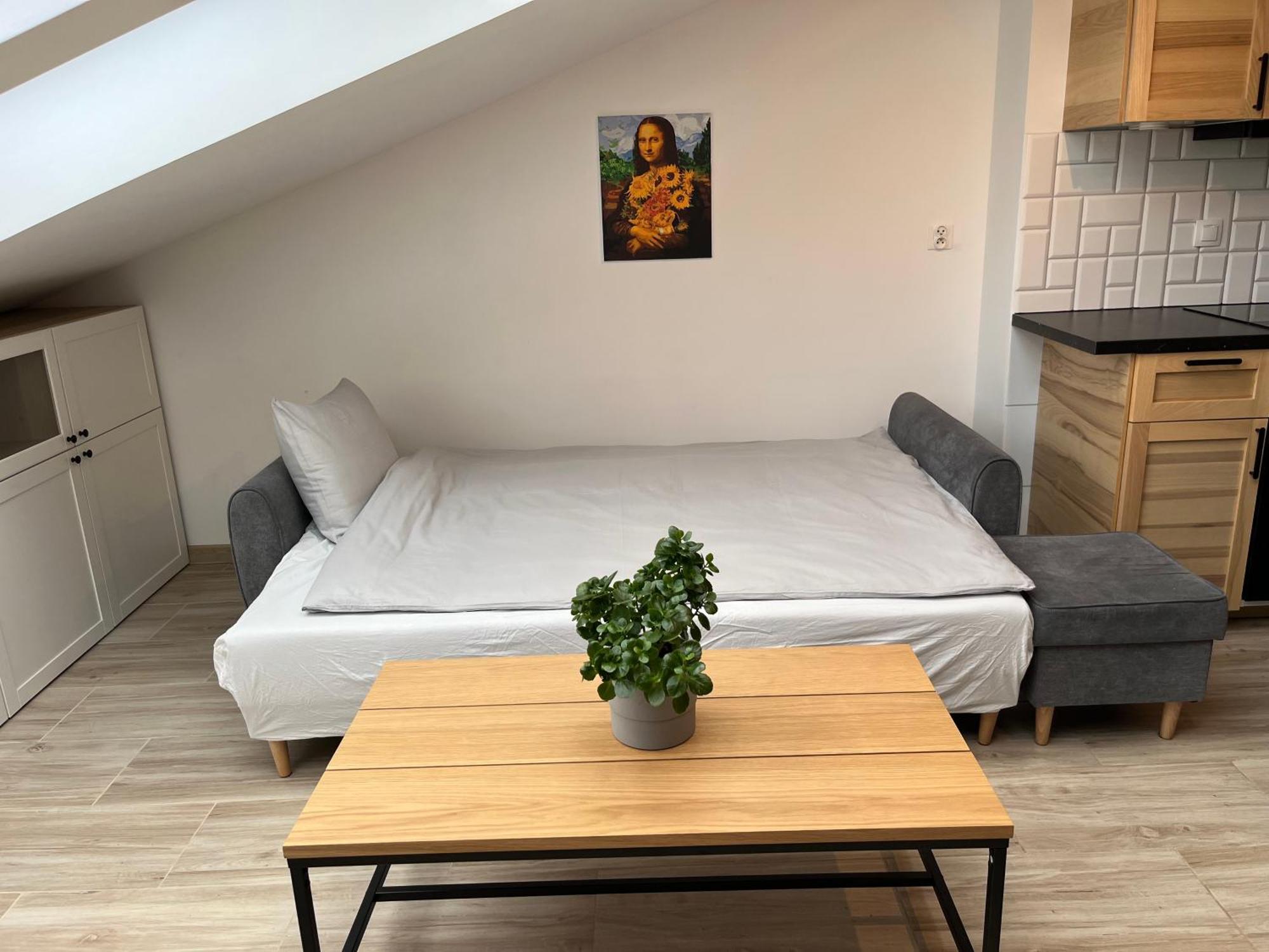 Feelhome Apartment With Kitchen Kraków Eksteriør billede